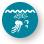 Ocean Biology / Ecosystems  - Plankton