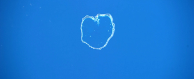 Clear bubble with a heart shape floats against a bright blue background.