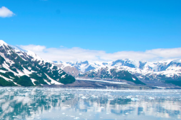 Snowy mountains reflected in a large body of water with floating ice. Text on the left about Albedo and climate information from various organizations.