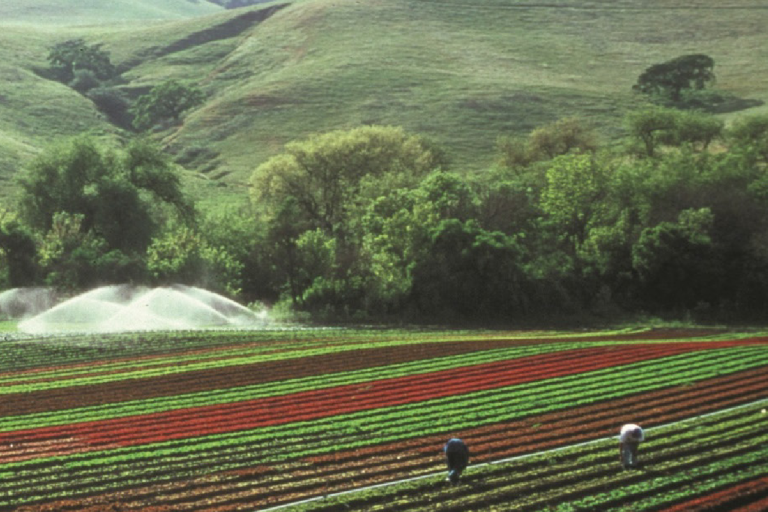 Sprinklers irrigate crops in a field with text: "Anthropogenic Water Use Essential Climate Variable (ECV) Factsheet" and logos for Global Climate Observing System and UN agencies.