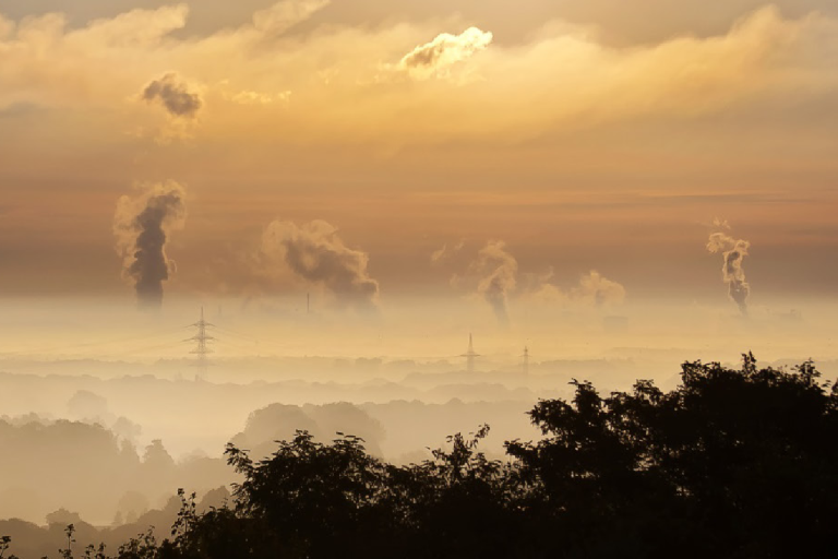Image of a factsheet cover titled "Carbon Dioxide, Methane & Other Greenhouse Gases" with an industrial landscape and emissions in the background.