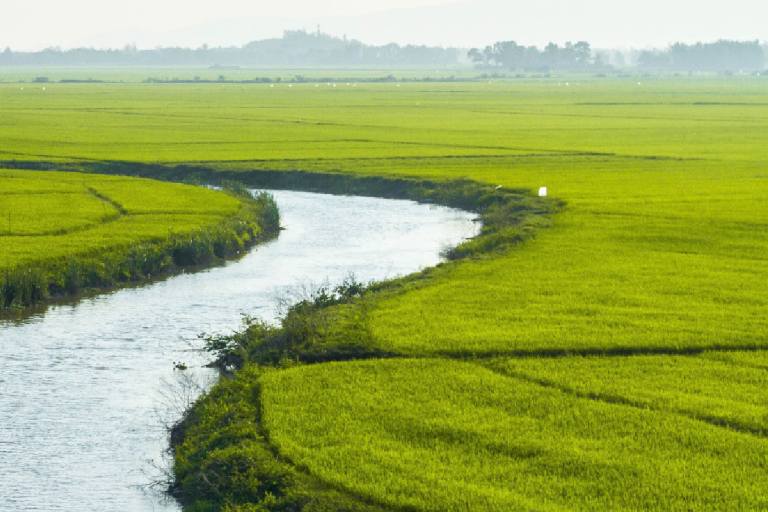 A river flows through lush green fields under a cloudy sky, with a text overlay titled "River Discharge: Essential Climate Variable (ECV) Factsheet" and logos from various environmental organizations.