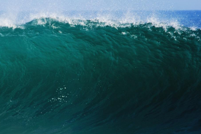 Blue ocean wave with a banner on the left displaying details about the Sea State Essential Climate Variable (ECV) factsheet from the Global Climate Observing System, featuring multiple logos.