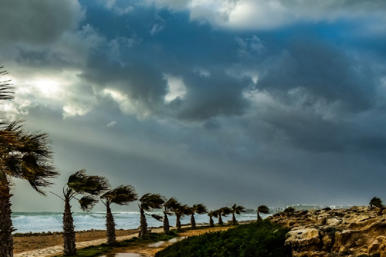 A stormy beach scene with strong winds bending palm trees. A factsheet titled "Surface Wind Speed and Direction" from the Global Climate Observing System is displayed over the image.