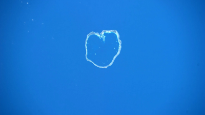 Clear bubble with a heart shape floats against a bright blue background.