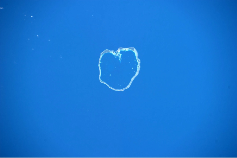 Clear bubble with a heart shape floats against a bright blue background.